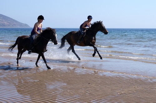 Cairnhouse Stables, Blackwaterfoot, Isle of Arran