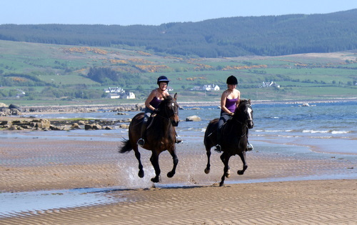 Cairnhouse Stables, Blackwaterfoot, Isle of Arran