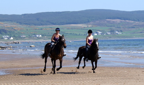 Cairnhouse Stables, Blackwaterfoot, Isle of Arran