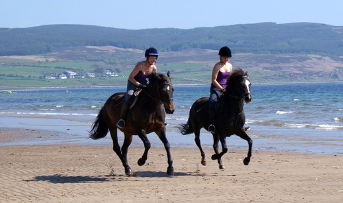 Cairnhouse Stables, Blackwaterfoot, Isle of Arran