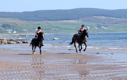 Cairnhouse Stables, Blackwaterfoot, Isle of Arran