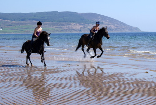 Cairnhouse Stables, Blackwaterfoot, Isle of Arran