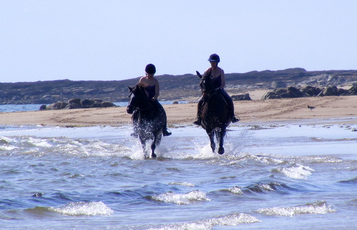 Cairnhouse Stables, Blackwaterfoot, Isle of Arran