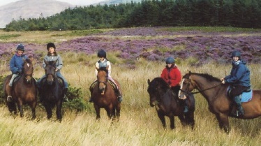 Cairnhouse Stables, Blackwaterfoot, Isle of Arran