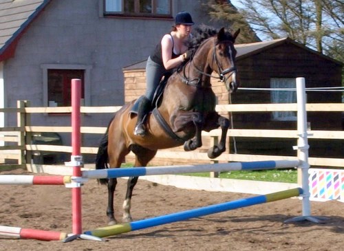 Cairnhouse Stables, Blackwaterfoot, Isle of Arran