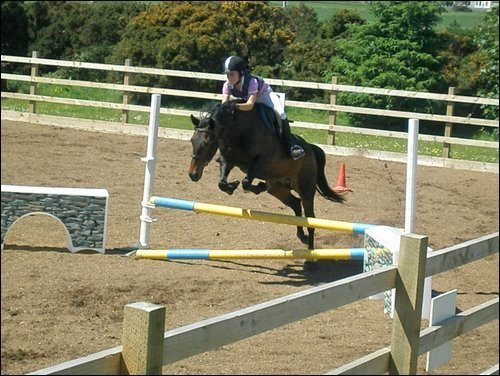 Cairnhouse Stables, Blackwaterfoot, Isle of Arran