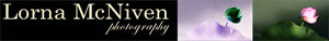 Lorna McNiven.com