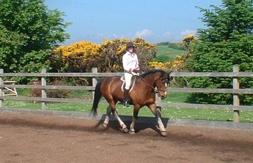 Cairnhouse Stables, Blackwaterfoot, Isle of Arran