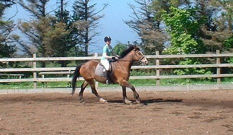 Cairnhouse Stables, Blackwaterfoot, Isle of Arran
