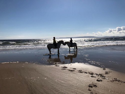 Cairnhouse Stables, Blackwaterfoot, Isle of Arran