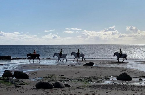 Cairnhouse Stables, Blackwaterfoot, Isle of Arran