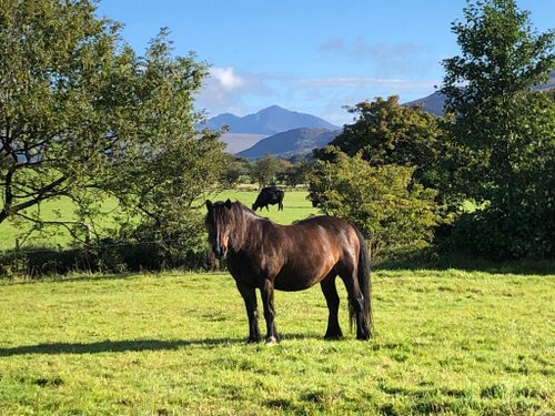 Cairnhouse Stables, Blackwaterfoot, Isle of Arran