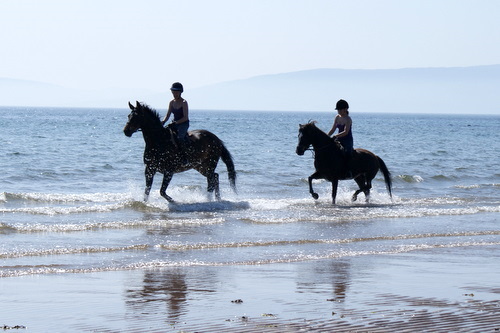 Cairnhouse Stables, Blackwaterfoot, Isle of Arran