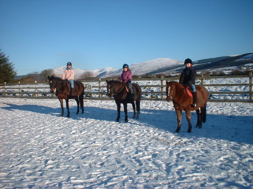 Cairnhouse Stables, Blackwaterfoot, Isle of Arran
