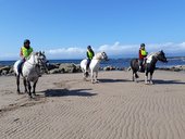 Cairnhouse Stables, Isle of Arran