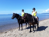 Cairnhouse Stables, Isle of Arran