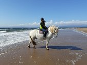 Cairnhouse Stables, Isle of Arran