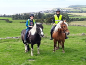 Cairnhouse Stables, Isle of Arran