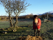 Cairnhouse Stables, Isle of Arran